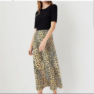 ANN TAYLOR Midi Dress Size XXSP